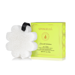 COCONUT VERBENA | BOXED FLOWER