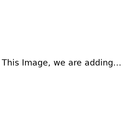 Plus Full Body Self-Tan Towelette - 5 Pack